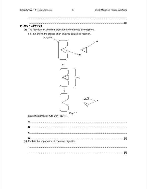 IGCSE BIOLOGY TOPICAL QUESTIONS - PAPER 4 (PDF) - Image 5