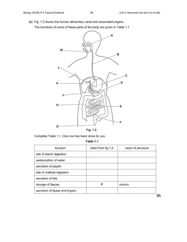 IGCSE BIOLOGY TOPICAL QUESTIONS - PAPER 4 (PDF) - Image 4